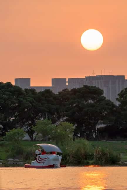 新北市旅遊,三重旅遊,新北大都會公園,大都會公園幸福水漾園區,賞花旅遊,春日漫步夢幻花園,金盞花與萬壽菊花海