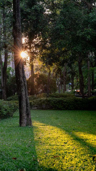 台東森林公園,活水湖,台東旅遊景點