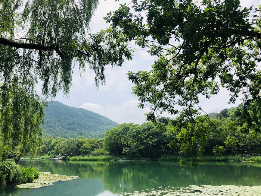 桃園旅遊,後湖溪生態園區,新屋區旅遊,舟日咖啡廳,獨木舟SUP體驗