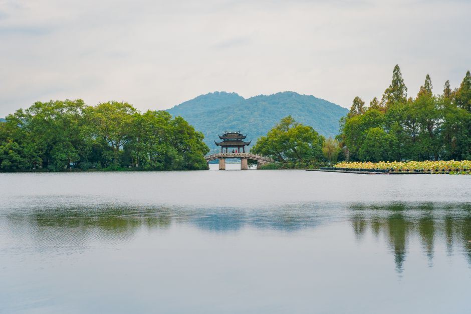 桃園旅遊,後湖溪生態園區,新屋區旅遊,舟日咖啡廳,湖畔咖啡廳