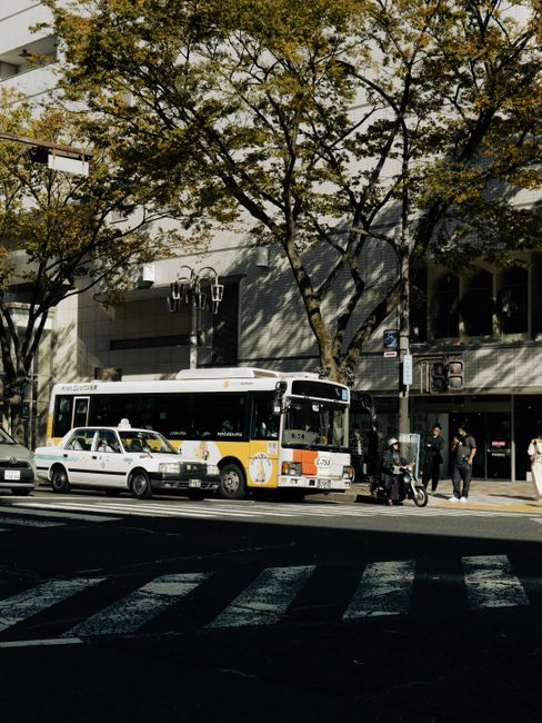 名古屋亞運,選手住宿,飯店預訂,郵輪住宿,運動部,李洋與徐孝慈討論飯店配置